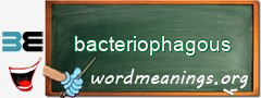 WordMeaning blackboard for bacteriophagous